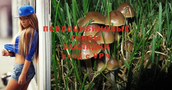 спиды Белоозёрский