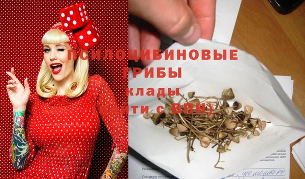 2c-b Тихвин