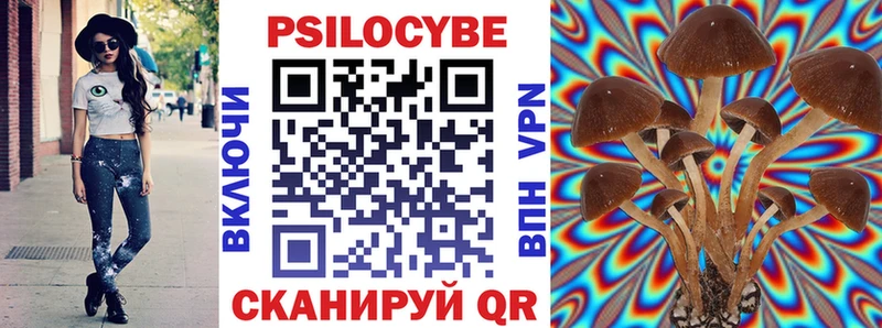shop официальный сайт  Кяхта  Псилоцибиновые грибы GOLDEN TEACHER 