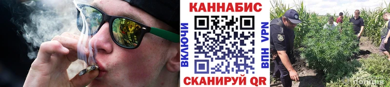 Конопля индика Кяхта